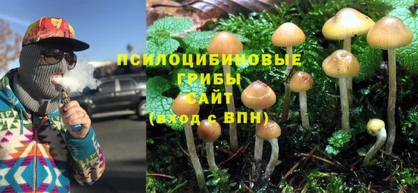 герыч Алзамай